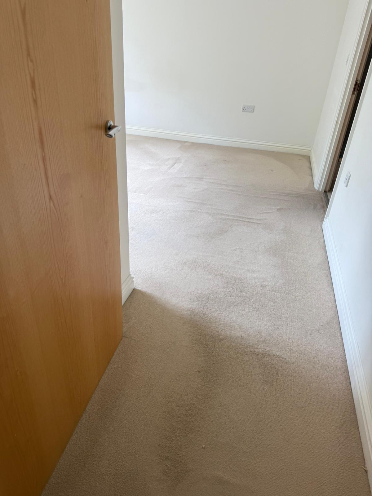 Hallway carpet vacuumed and finished after move out